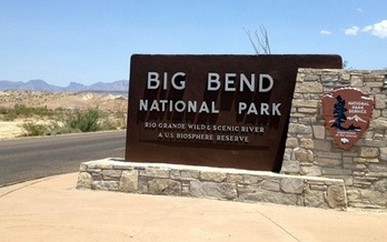 The U.S. Fish and Wildlife Service has set aside 7,800 acres in Big Bend National Park to protect the Guadalupe fescue, a type of bunchgrass recently added to the endangered species list. (U.S. Fish and Wildlife Service)