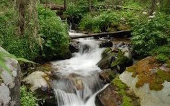 New Mexico conservation groups are worried about the state's drinking-water supplies if the Trump administration scraps the 2015 Clean Water Rule. (env.nm.gov/water)