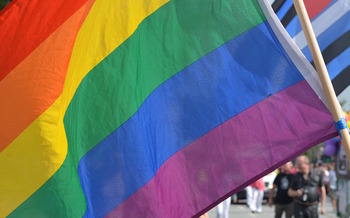 In April, the U.S. Court of Appeals in Chicago ruled that Title VII of the Civil Rights Act protects gay employees from discrimination. (fsHH/Pixabay)