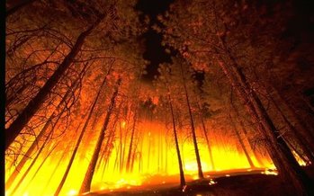 A new report blames dry conditions linked to climate change for this fall's large fires and calls for more funding for prescribed burns. (Wikimedia Commons)