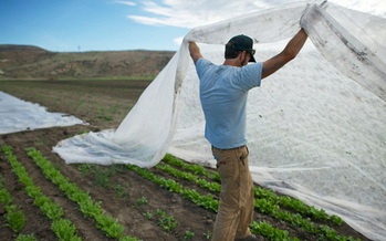 Peaceful Belly Farm participates in the Food is Medicine project to bring fresh produce to food insecure families.(Peaceful Belly Farm)