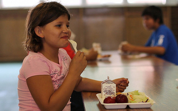 Opponents say the so-called school choice movement will divert money from public schools. (U.S. Dept. of Agriculture/Flickr)