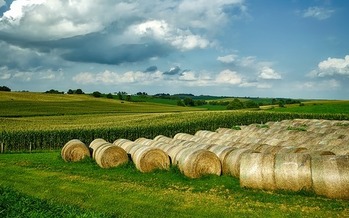 Three Iowa lawmakers sit on the House and Senate agriculture committees that are writing the first draft of the 2018 Farm Bill. (12019/Pixabay)