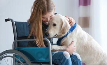 About 60% of children who rely on Medicaid coverage have a disability. (Africa Studio/Adobe Stock)