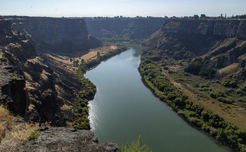 Salmon and steelhead return numbers on the Snake River have plummeted in recent decades. (Matthew Dillon/Flickr)