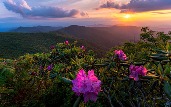 Since its creation 1990s, the North Carolina Land and Water Fund has conserved more than 1.5 million acres of land and thousands of miles of streams and rivers. (Adobe Stock)