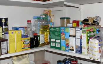 PHOTO:  n economic policy analyst warns that further cuts to food stamps would immediately kick up to 88,000 Kentuckians off the program.  